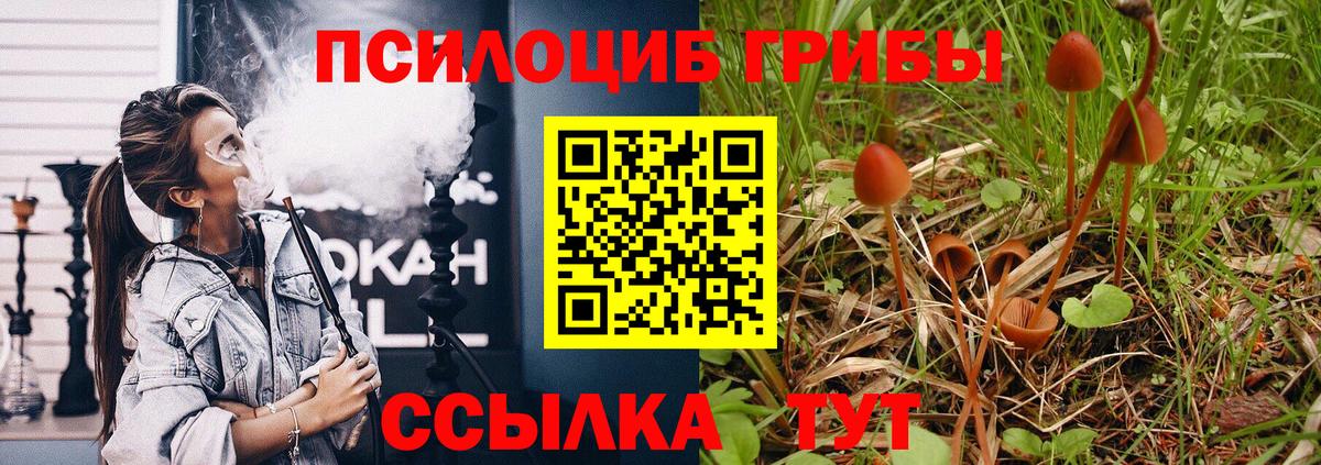 Галлюциногенные грибы Cubensis  Вход с VPN  Можайск  Псилоцибиновые грибы мухоморы 