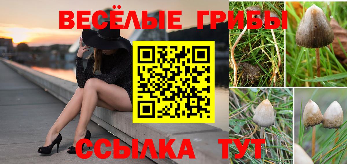 Галлюциногенные грибы MAGIC MUSHROOMS Можайск